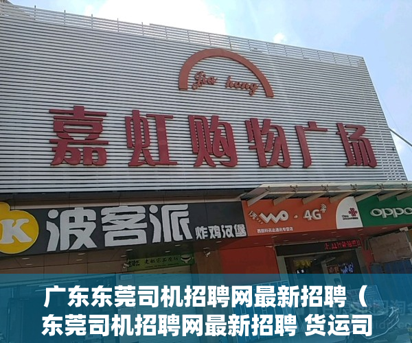 广东东莞司机招聘网最新招聘（东莞司机招聘网最新招聘 货运司机600-1100天 日结）