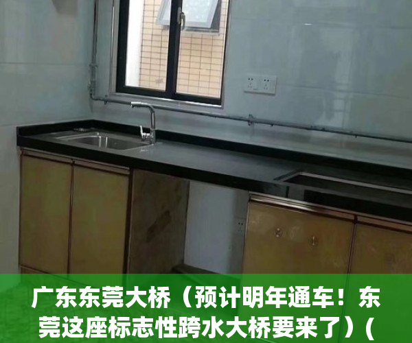 广东东莞大桥（预计明年通车！东莞这座标志性跨水大桥要来了）(东莞有几座大桥)