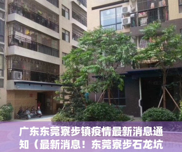 广东东莞寮步镇疫情最新消息通知（最新消息！东莞寮步石龙坑统建楼小产权房《寮步花园》三房415万一套出售，可分期，利息49厘，松山湖CBD万象汇500米楼盘）