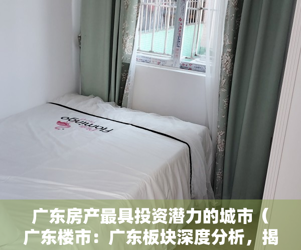 广东房产最具投资潜力的城市（广东楼市：广东板块深度分析，揭秘内行人都是如何买房的）