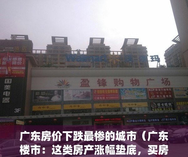 广东房价下跌最惨的城市（广东楼市：这类房产涨幅垫底，买房请远离！）(广东房价2020年跌一半)