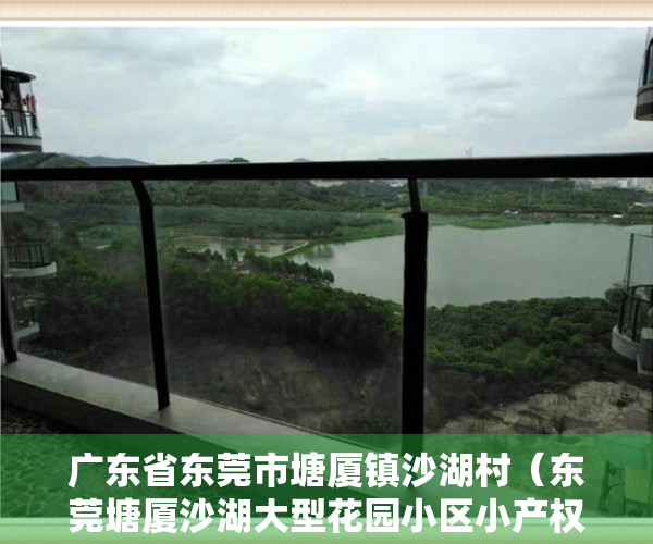 广东省东莞市塘厦镇沙湖村（东莞塘厦沙湖大型花园小区小产权房【御江南】带两层地下车库  精装交楼或毛坯交楼   【御江南】一次性付款 按揭贷款  首付5成）