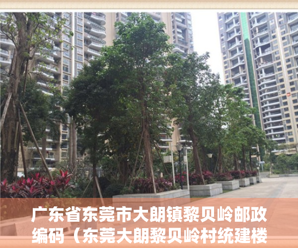 广东省东莞市大朗镇黎贝岭邮政编码（东莞大朗黎贝岭村统建楼小产权房【万象新盘】新盘出售松湖万象汇附近在售统建楼小产权房出售可分期）
