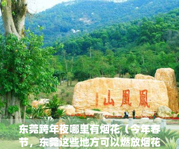 东莞跨年夜哪里有烟花（今年春节，东莞这些地方可以燃放烟花爆竹！）(东莞市春节哪里放烟花?)
