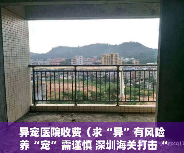 异宠医院收费（求“异”有风险 养“宠”需谨慎 深圳海关打击“异宠”入侵不手软）