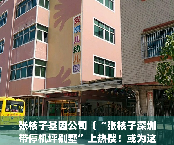 张核子基因公司（“张核子深圳带停机坪别墅”上热搜！或为这个小区）(张核子是哪里人)