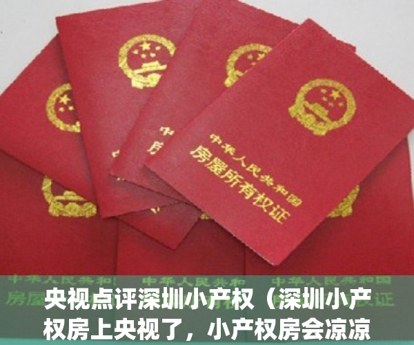 央视点评深圳小产权（深圳小产权房上央视了，小产权房会凉凉吗？）(今日深圳新闻小产权)