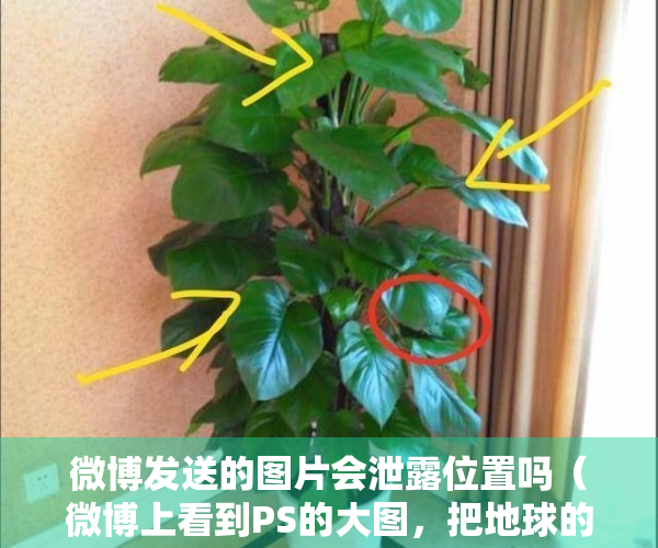 微博发送的图片会泄露位置吗（微博上看到PS的大图，把地球的卫星月球换成了金星、土星、木星等，那我们假设这个如果是真的，对地球有哪些有意思的影响呢？）