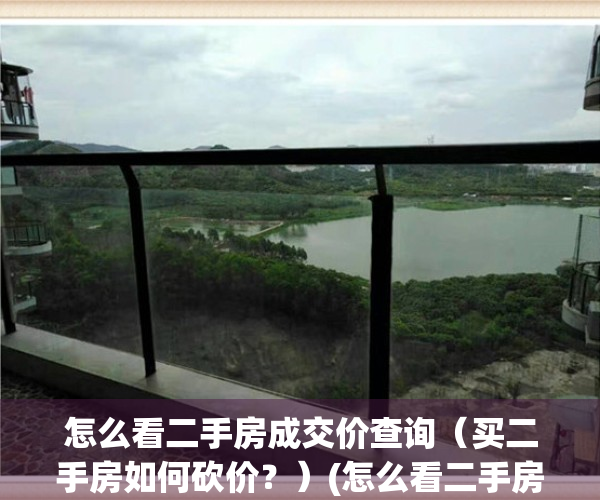 怎么看二手房成交价查询（买二手房如何砍价？）(怎么看二手房成交数据)