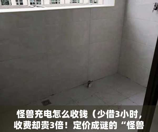 怪兽充电怎么收钱（少借3小时，收费却贵3倍！定价成谜的“怪兽充电”是“钱包刺客”吗？）