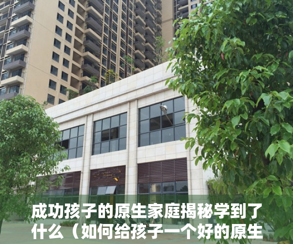 成功孩子的原生家庭揭秘学到了什么（如何给孩子一个好的原生家庭？答案藏在这3件小事里  精选）