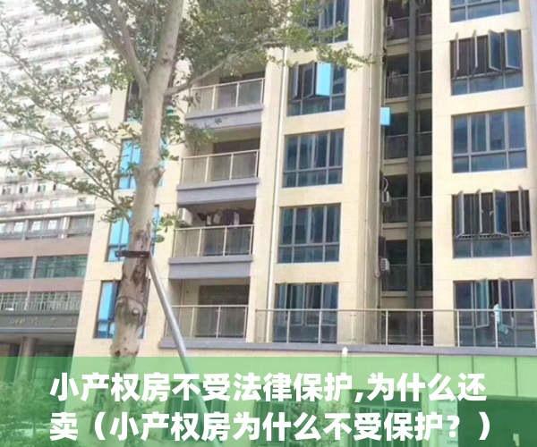 小产权房不受法律保护,为什么还卖（小产权房为什么不受保护？）(小产权为什么不能买)