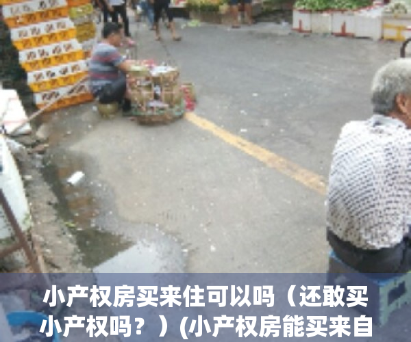 小产权房买来住可以吗（还敢买小产权吗？）(小产权房能买来自己住吗?)