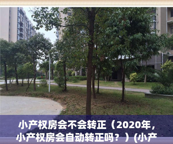 小产权房会不会转正（2020年，小产权房会自动转正吗？）(小产权房将来能转正吗)
