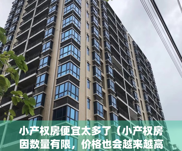 小产权房便宜太多了（小产权房因数量有限，价格也会越来越高）(小产权房市场价格)