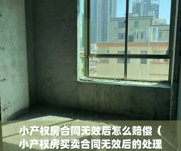 小产权房合同无效后怎么赔偿（小产权房买卖合同无效后的处理）(小产权房买卖协议无效法院怎么处理)