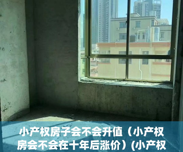 小产权房子会不会升值（小产权房会不会在十年后涨价）(小产权房未来何去何从)