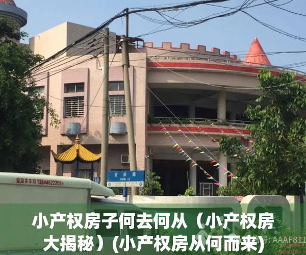 小产权房子何去何从（小产权房大揭秘）(小产权房从何而来)