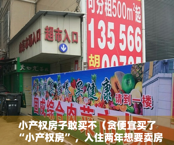 小产权房子敢买不（贪便宜买了“小产权房”，入住两年想要卖房，却发现很难转手）