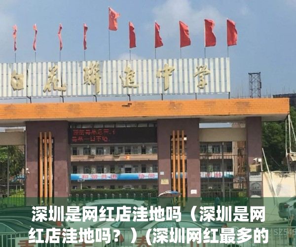 深圳是网红店洼地吗（深圳是网红店洼地吗？）(深圳网红最多的地方)