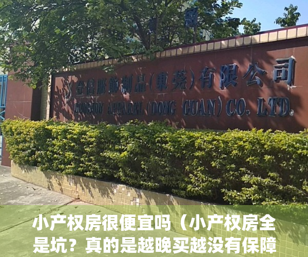 小产权房很便宜吗（小产权房全是坑？真的是越晚买越没有保障!）(小产权房的灾难来了)