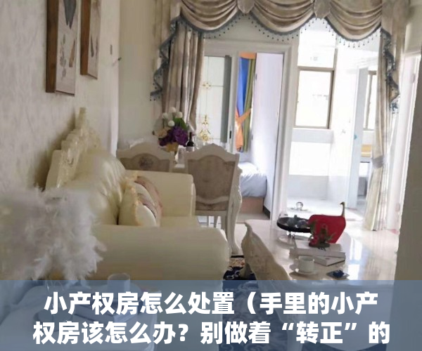 小产权房怎么处置（手里的小产权房该怎么办？别做着“转正”的梦了，尽快脱手才好）