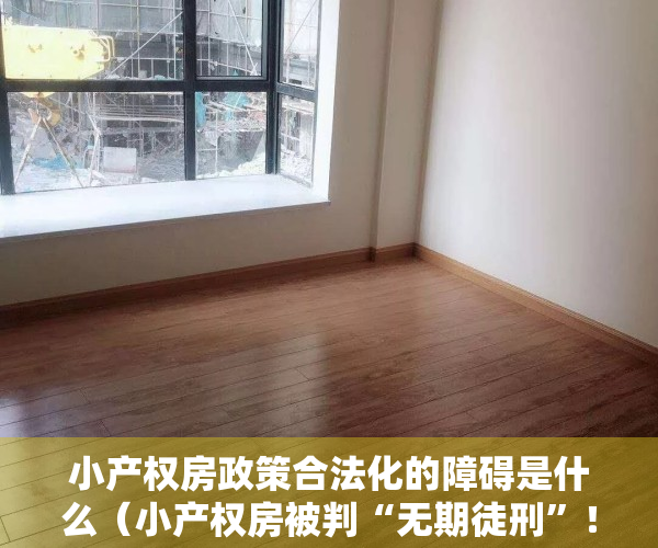 小产权房政策合法化的障碍是什么（小产权房被判“无期徒刑”！自然资源部已发声，能不能买一目了然）