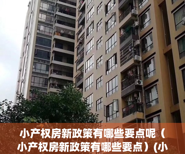 小产权房新政策有哪些要点呢（小产权房新政策有哪些要点）(小产权房的政策和法规最新动态)