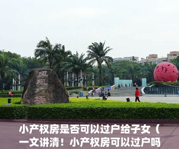 小产权房是否可以过户给子女（一文讲清！小产权房可以过户吗？）(小产权的房子可以过户吗?)