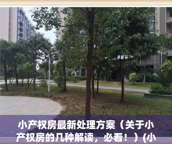 小产权房最新处理方案（关于小产权房的几种解读，必看！）(小产权房有何政策)