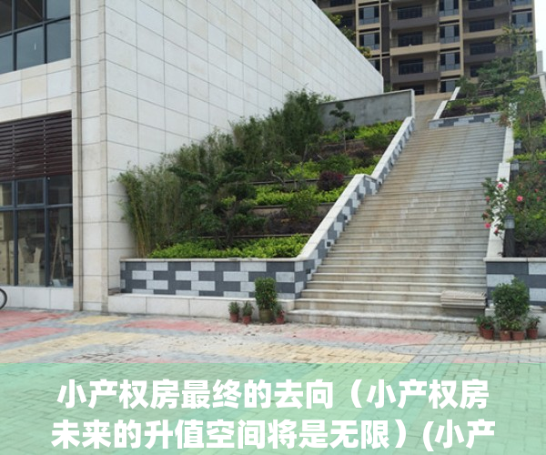小产权房最终的去向（小产权房未来的升值空间将是无限）(小产权房将来国家会有政策变化吗)