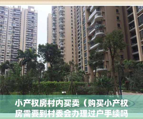 小产权房村内买卖（购买小产权房需要到村委会办理过户手续吗）(从村委买的小产权房)