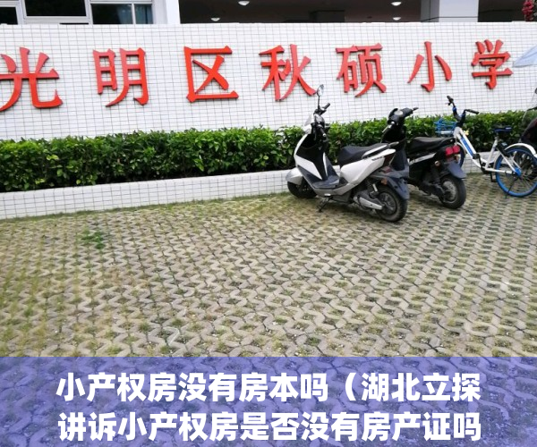 小产权房没有房本吗（湖北立探讲诉小产权房是否没有房产证吗）(小产权房没有房产证的房子能买吗)
