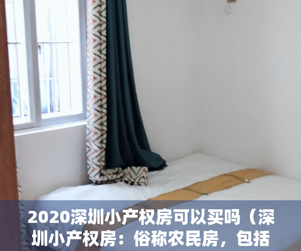 2020深圳小产权房可以买吗（深圳小产权房：俗称农民房，包括村委统建楼，合资建房。）