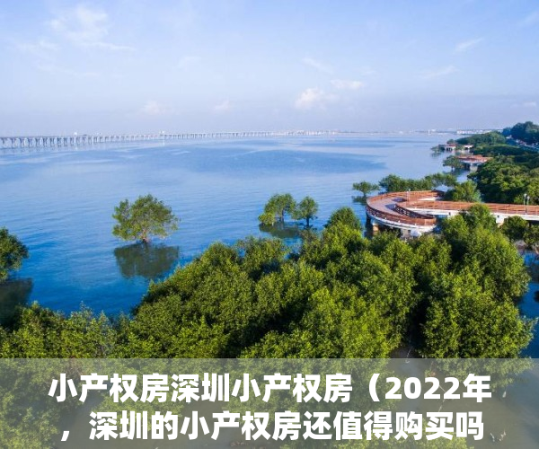 小产权房深圳小产权房（2022年，深圳的小产权房还值得购买吗？有哪些楼盘值得关注？）