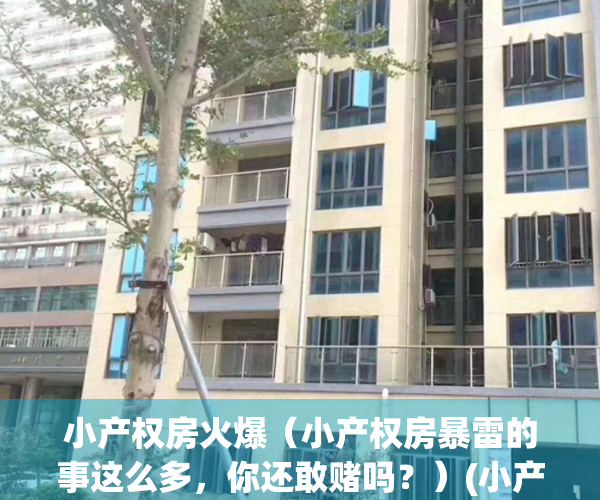 小产权房火爆（小产权房暴雷的事这么多，你还敢赌吗？）(小产权房现状)