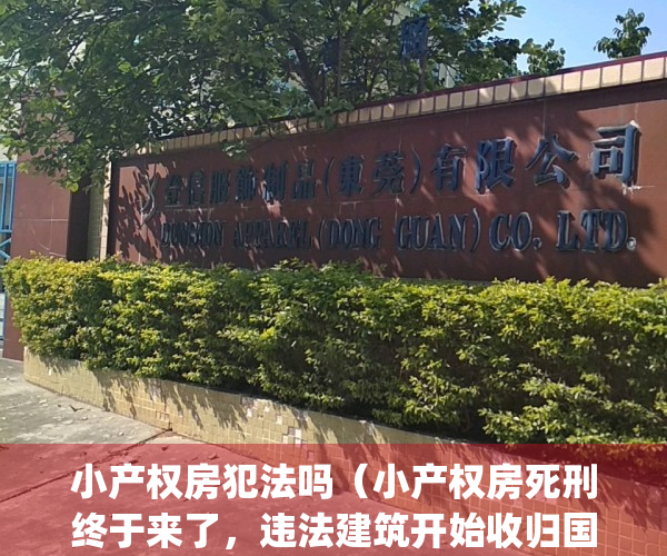 小产权房犯法吗（小产权房死刑终于来了，违法建筑开始收归国有！）(小产权房合法化了吗)