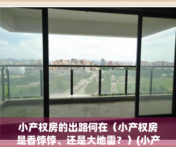 小产权房的出路何在（小产权房是香饽饽、还是大地雷？）(小产权房怎么样?)