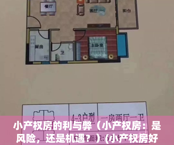 小产权房的利与弊（小产权房：是风险，还是机遇？）(小产权房好吗?)