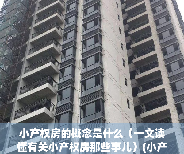 小产权房的概念是什么（一文读懂有关小产权房那些事儿）(小产权房的含义)