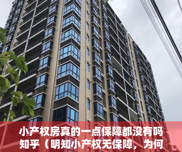 小产权房真的一点保障都没有吗知乎（明知小产权无保障，为何还总是有人上当，小产权房之殇！）