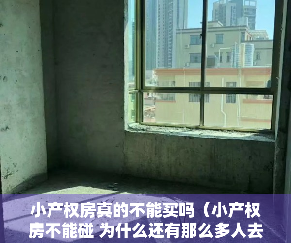 小产权房真的不能买吗（小产权房不能碰 为什么还有那么多人去买？）
