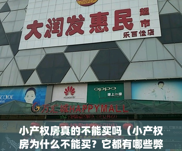 小产权房真的不能买吗（小产权房为什么不能买？它都有哪些弊端？）(小产权房为何不能买)