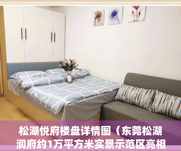 松湖悦府楼盘详情图（东莞松湖润府约1万平方米实景示范区亮相）(松湖悦府业主论坛)