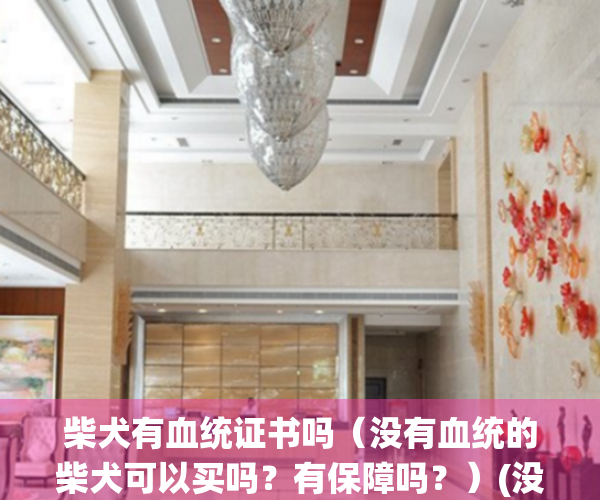 柴犬有血统证书吗（没有血统的柴犬可以买吗？有保障吗？）(没有血统的柴犬多少钱)