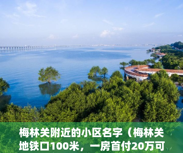 梅林关附近的小区名字（梅林关地铁口100米，一房首付20万可以买吗）(梅林关附近有什么好玩的)