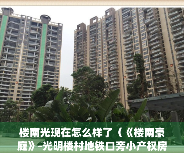 楼南光现在怎么样了（《楼南豪庭》-光明楼村地铁口旁小产权房）(楼南光有老婆吗)