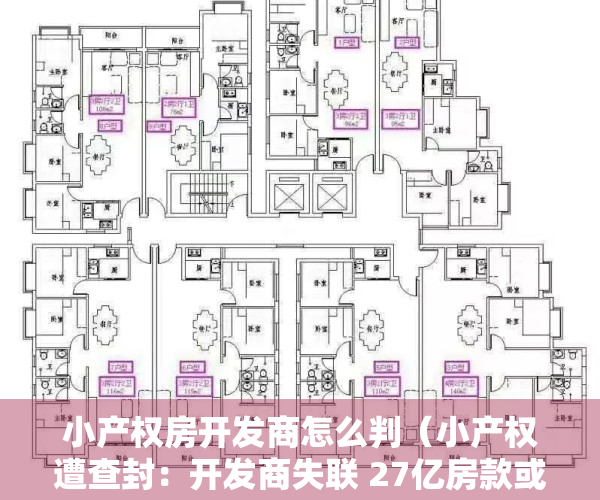小产权房开发商怎么判（小产权遭查封：开发商失联 27亿房款或打水漂）