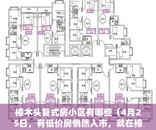 樟木头复式房小区有哪些（4月25日，有低价房悄然入市，就在樟木头  幸福里有好房）