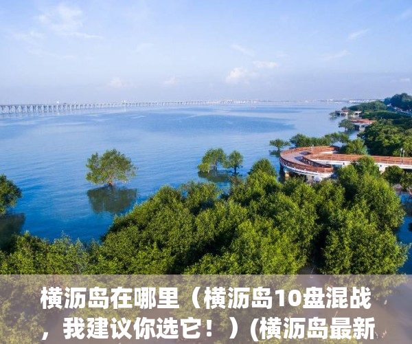 横沥岛在哪里（横沥岛10盘混战，我建议你选它！）(横沥岛最新规划)